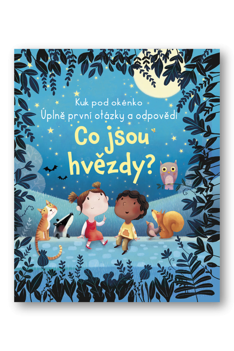 Co jsou hvězdy Kuk pod okénko - Úplně první otázky a odpovědi – Daynes Katie