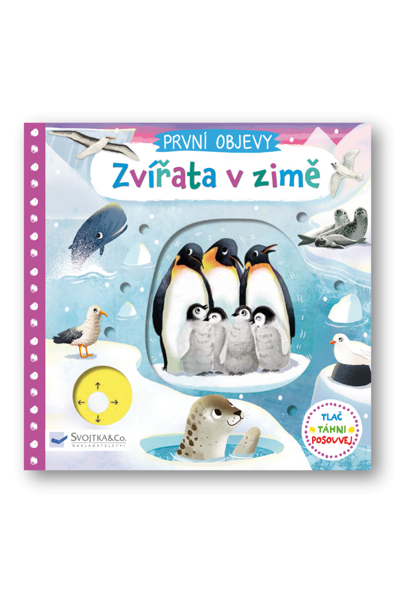První objevy - Zvířata v zimě – Wren Jenny