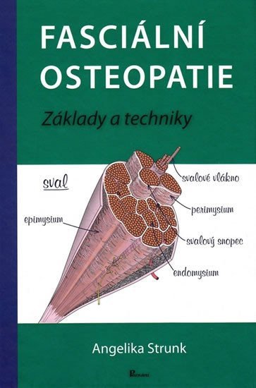 Fasciální osteopatie – Stunk Angelika
