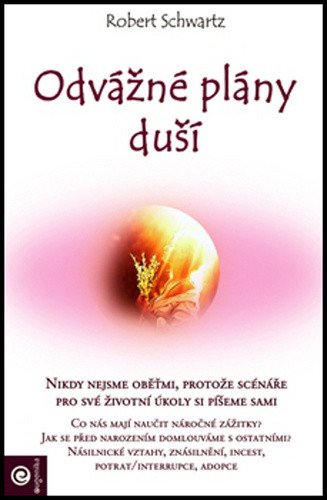 Odvážné plány duší – Schwartz Robert
