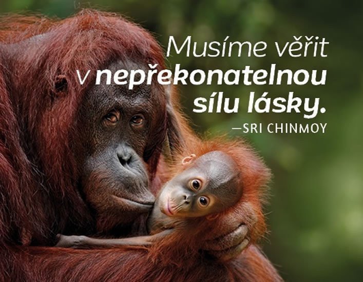 Magnet na lednici - Musíme věřit v nepřekonatelnou sílu lásky