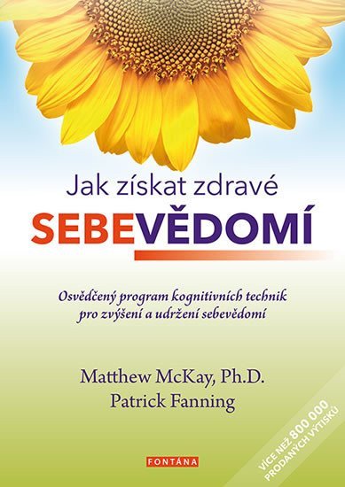Jak získat zdravé sebevědomí - Osvědčený program kognitivních technik pro zvýšení a udržení sebevědomí – McKay Matthew