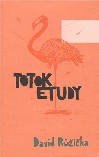 Totok etudy – Růžička David