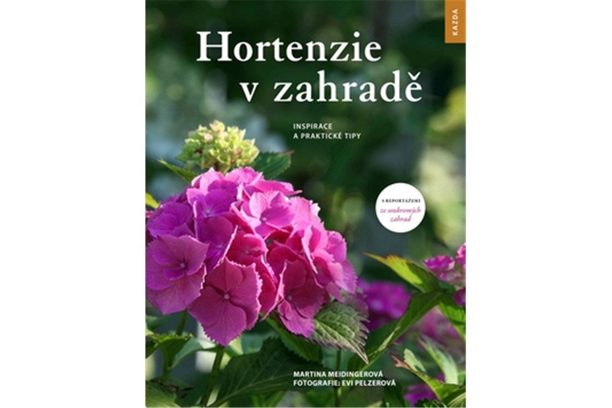 Hortenzie v zahradě - Inspirace a praktické tipy – Meidingerová Martina