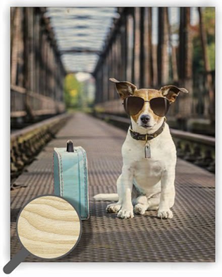 Obraz dřevěný Dog 240x300