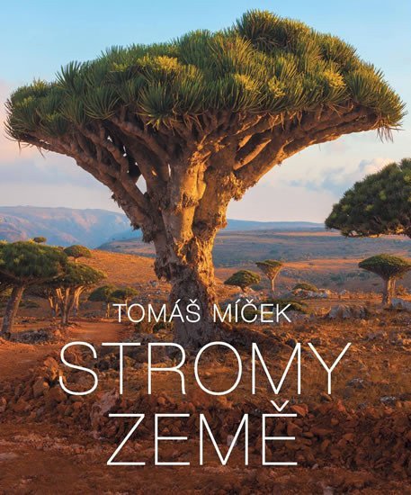 Stromy Země – Míček Tomáš