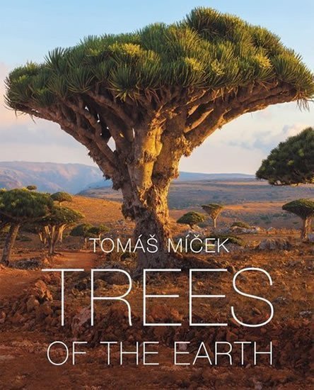 Trees of the Earth – Míček Tomáš
