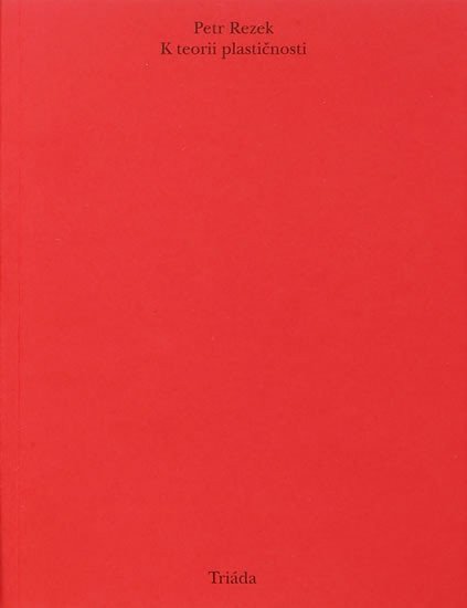 K teorii plastičnosti – Rezek Petr