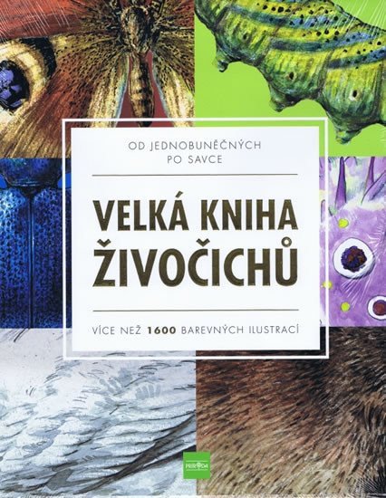 Velká kniha živočichů od jednobuněčných po savce - Více než 1600 barevných ilustrací – group of authors