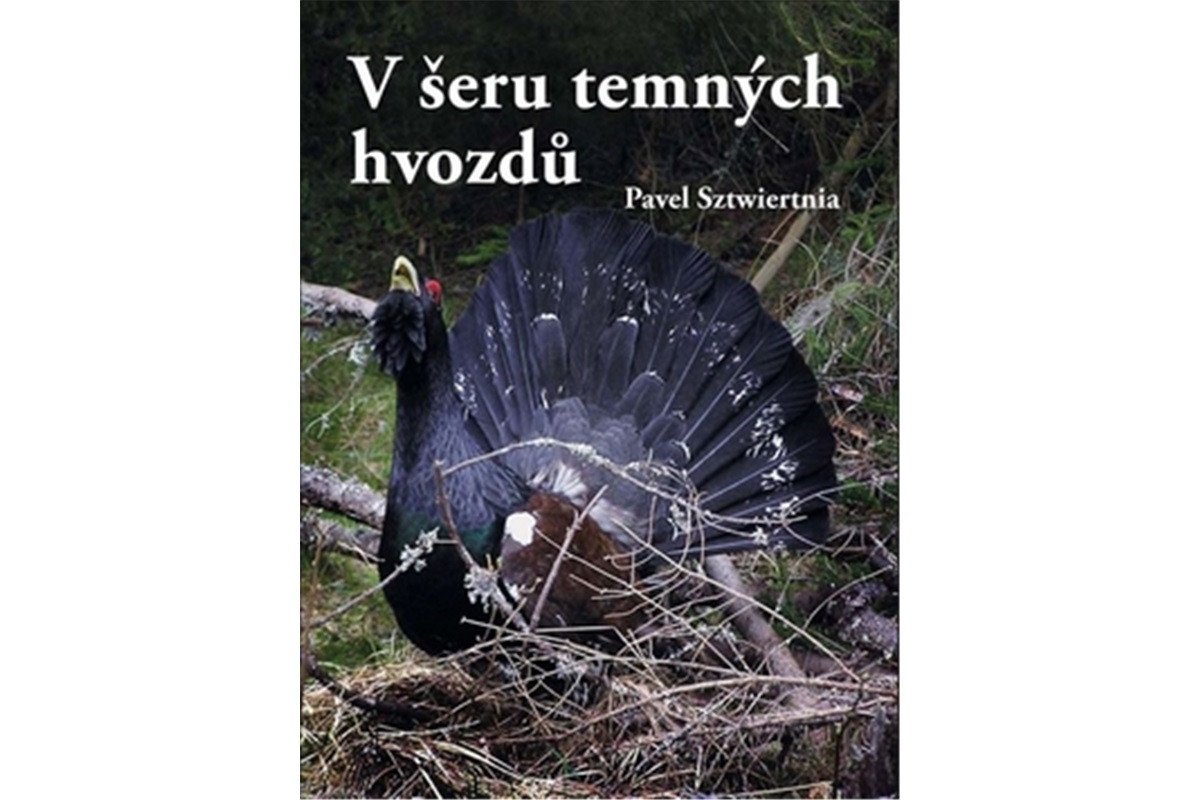 V šeru temných hvozdů – Sztwiertnia Pavel