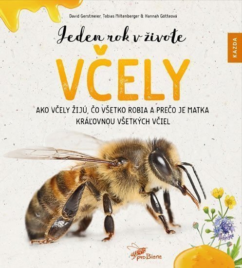 Jeden rok v živote včely - Ako včely žijú čo všetko robia a prečo je matka kráľovnou všetkých včiel – Gerstmeier David Miltenberger Tobias Götteová Hannah