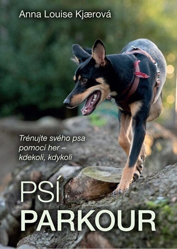 Psí parkour – Kjaerová Anna Luis
