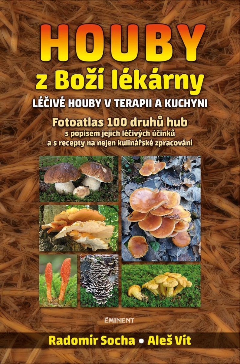 Houby z Boží lékárny - Léčivé houby v terapii a kuchyni – Vít Aleš