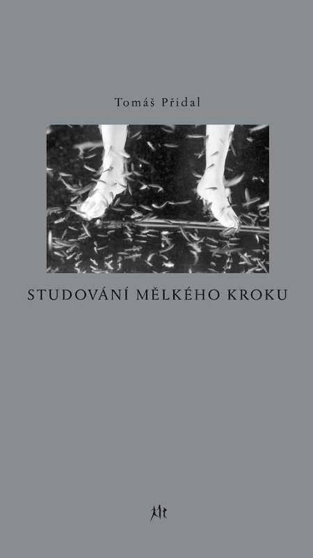 Studování mělkého kroku – Přidal Tomáš