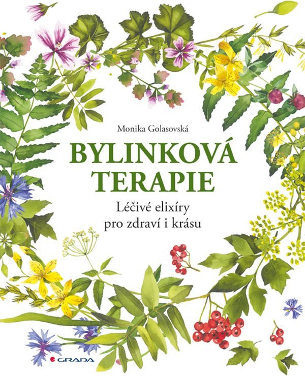 Bylinková terapie - Léčivé elixíry pro zdraví i krásu – Golasovská Monika