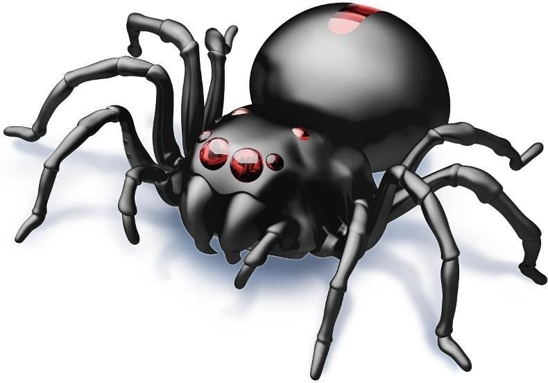 Pavouk na slanou vodu