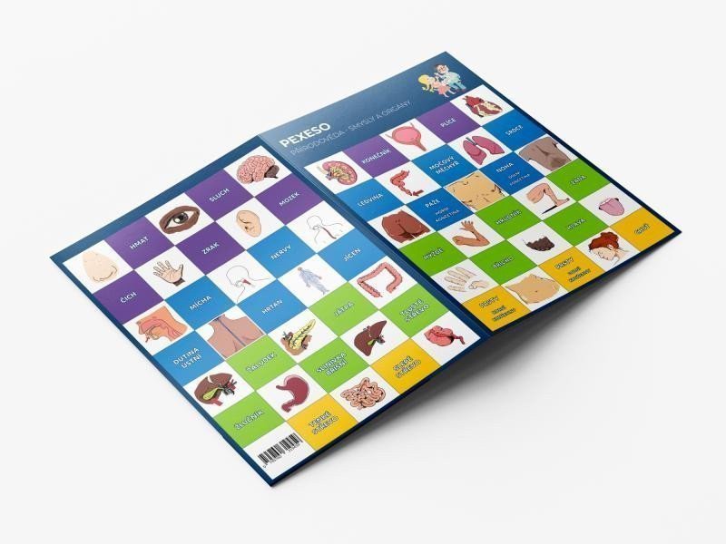 Pexeso Přírodověda - Smysly a orgány