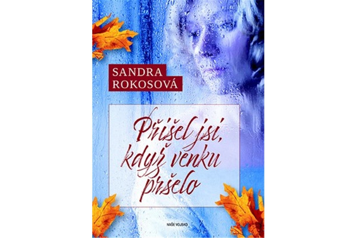 Přišel jsi když venku pršelo – Rokosová Sandra