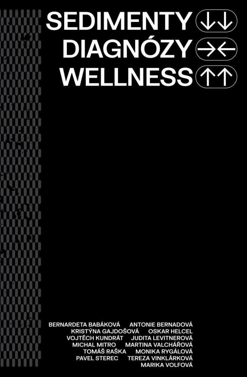 Sedimenty diagnózy wellness – group of authors