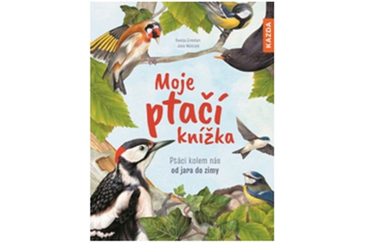 Moje ptačí knížka - Ptáci kolem nás – Ernsten Svenja