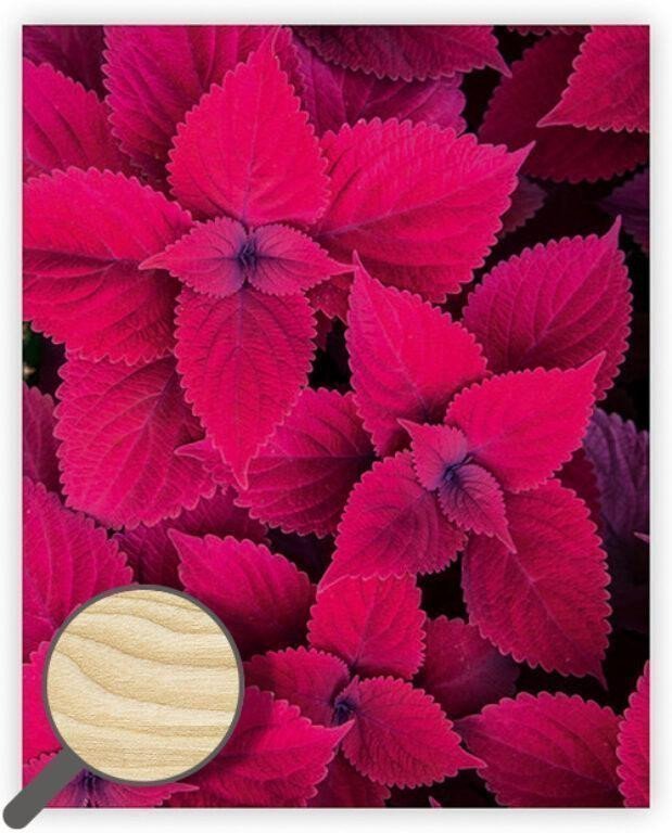 Obraz dřevěný Leaves 450x520