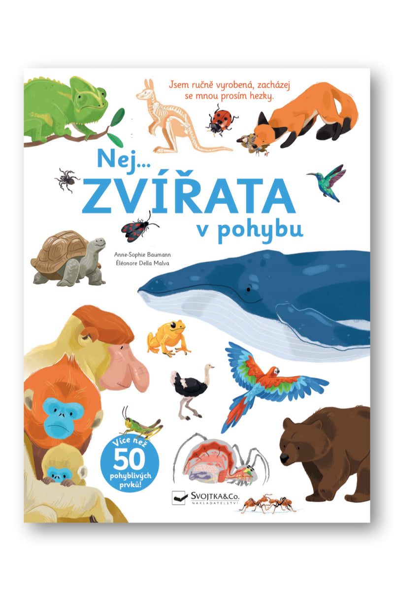 Nej ZVÍŘATA v pohybu