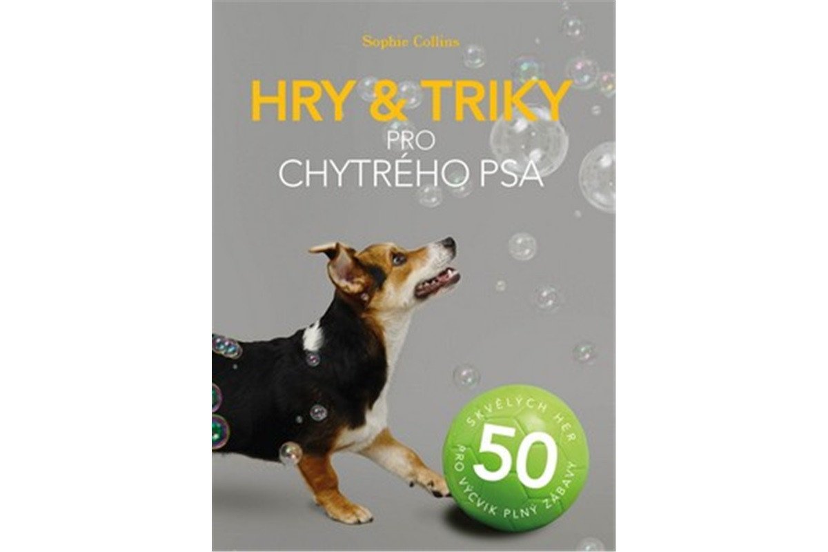 Hry a triky pro chytrého psa - 50 skvělých her pro výcvik plný zábavy – Collinsová Sophie