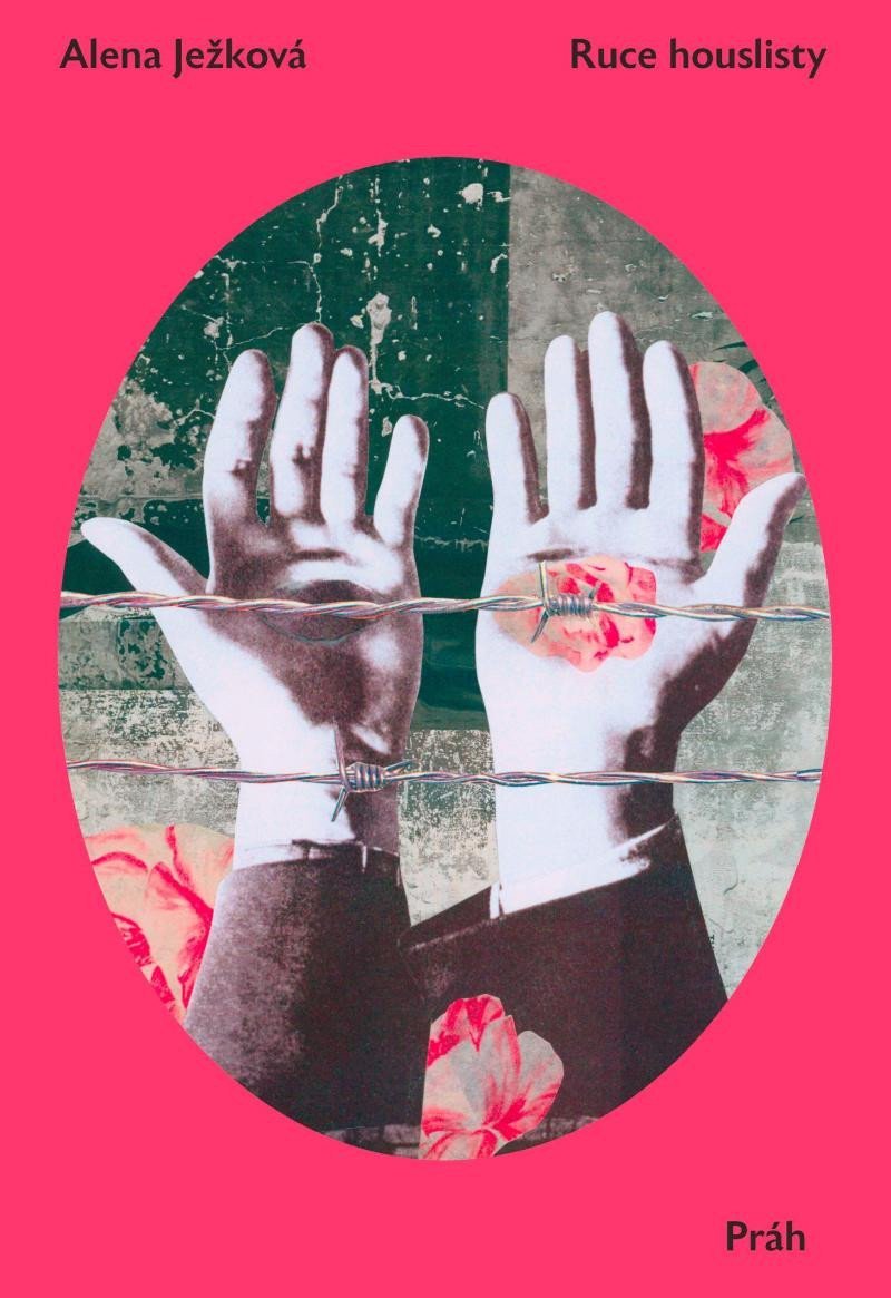 Ruce houslisty – Ježková Alena