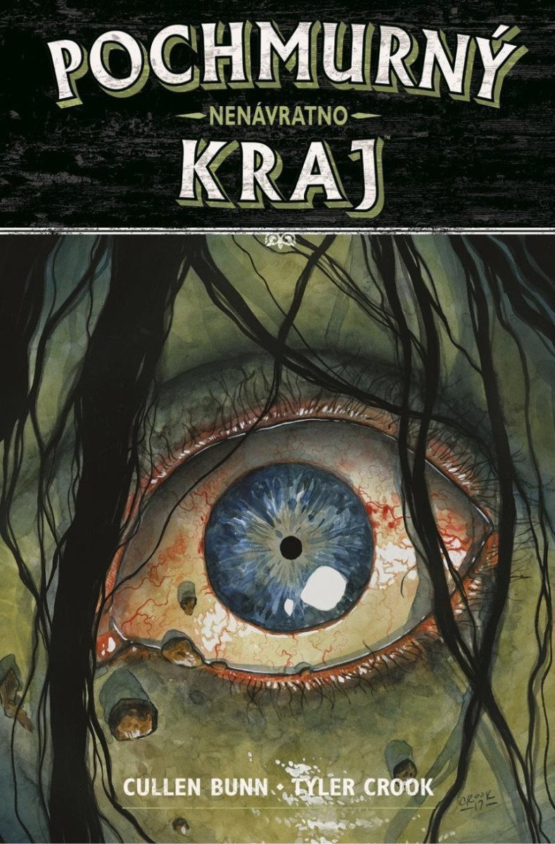 Pochmurný kraj 8 - Nenávratno – Bunn Cullen