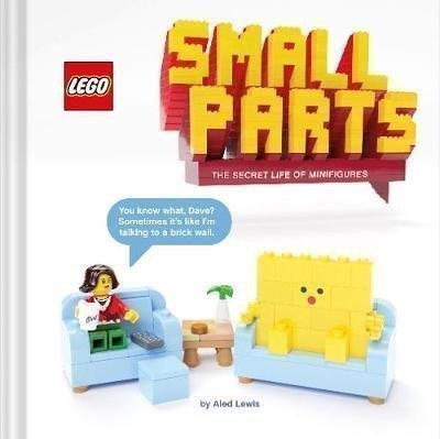 LEGO Small Parts  The Secret Life of Minifigures – LEGO