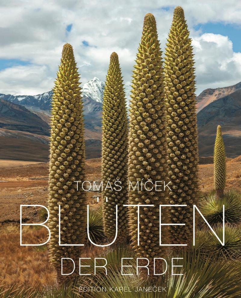Blüten der Erde – Míček Tomáš
