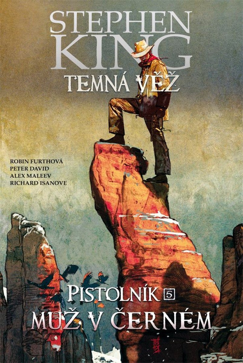 Temná věž 10 - Pistolník 5 Muž v černém – David Peter