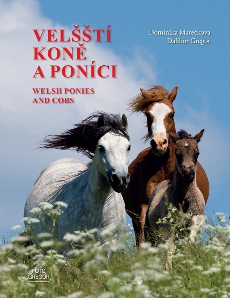 Velšští koně a poníci  Welsh Ponies and Cobs – Gregor Dalibor