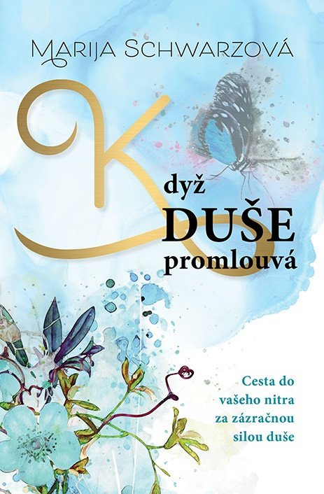 Duše k tobě promlouvá - Cesta do vašeho nitra za zázračnou silou duše – Schwarz Marija
