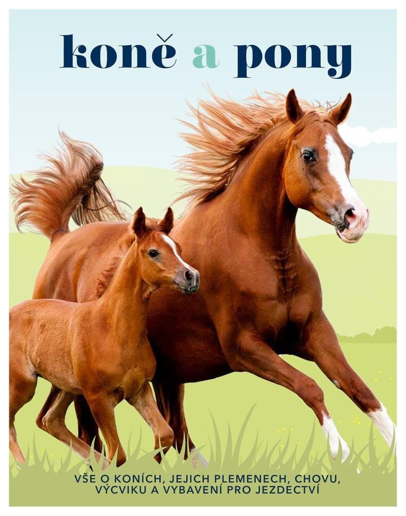 Koně a pony - Vše o koních jejich plemenech chovu výcviku a vybavení pro jezdectví