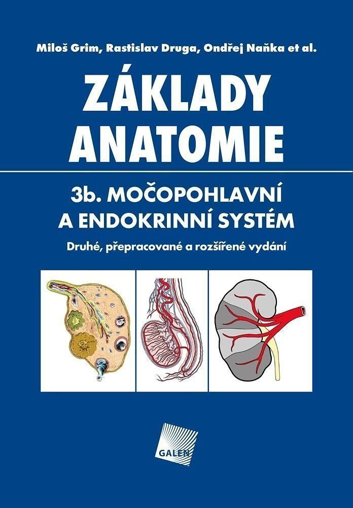 Základy anatomie 3b - Močopohlavní a endokrinní systém – Grim Miloš