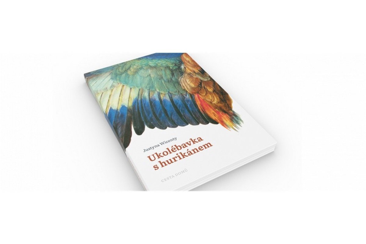 Ukolébavka s hurikánem – Wicenty Justyna