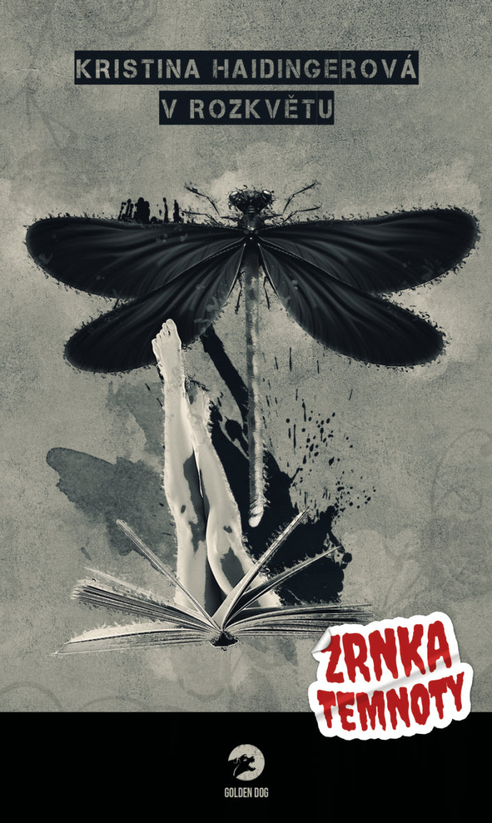 V rozkvětu - Zrnka temnoty 4 – Haidingerová Kristina
