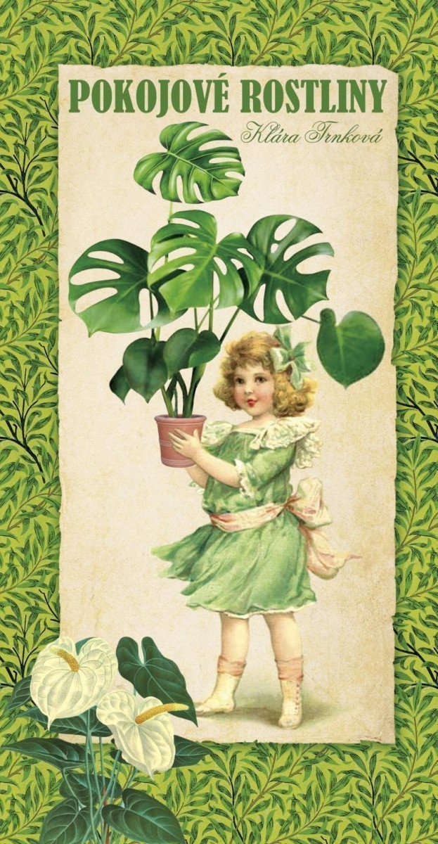 Pokojové rostliny – Trnková Klára