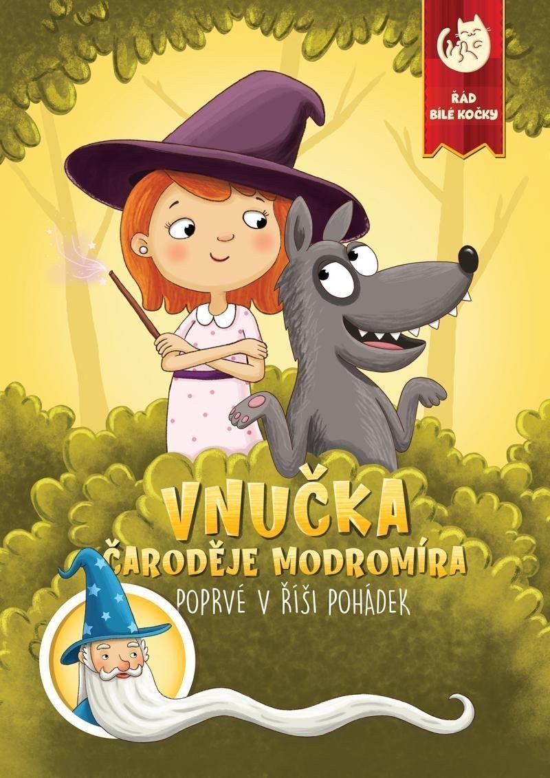 Vnučka čaroděje Modromíra  Poprvé v říši pohádek – Kučera Martin