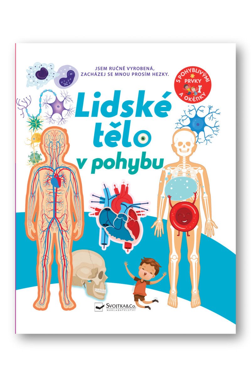 Lidské tělo v pohybu – Hawcock David