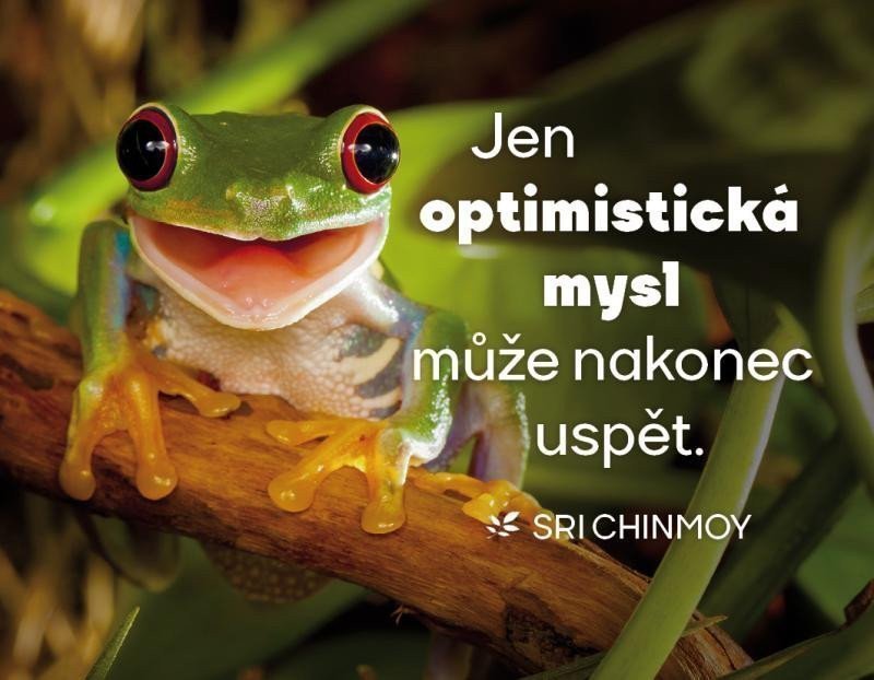 Magnet na lednici Jen optimistická mysl může nakonec uspět
