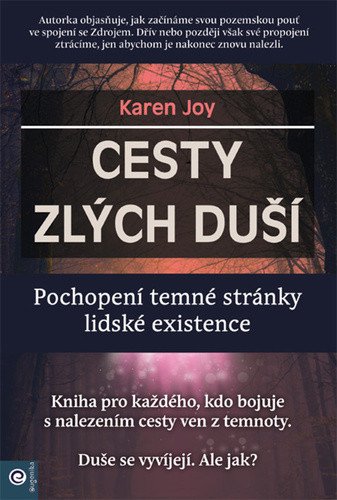 Cesty zlých duší - Pochopení temné stránky lidské existence – Joy Karen