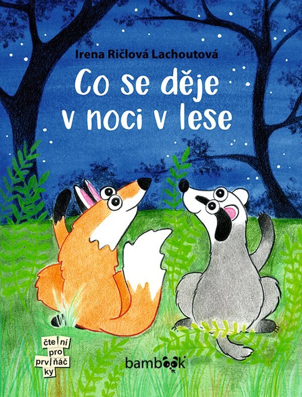Co se děje v noci v lese – Ričlová Lachoutová Irena
