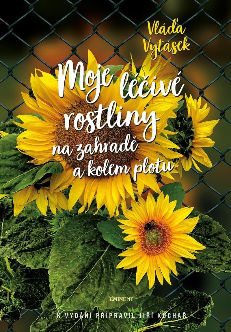 Moje léčivé rostliny na zahradě a kolem plotu – Vytásek Vláďa