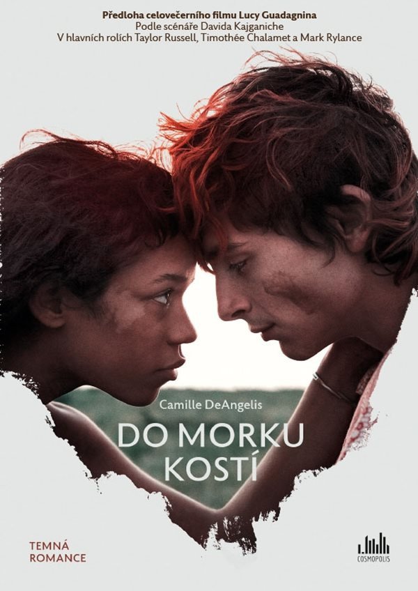 Do morku kostí – DeAngelis Camille