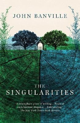 The Singularities – Banville John