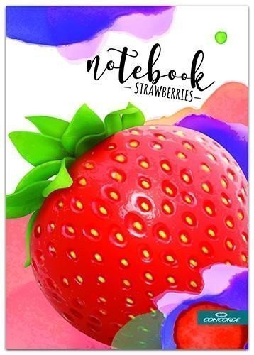 Concorde Záznamní kniha A6 linka 8 mm 100 listů