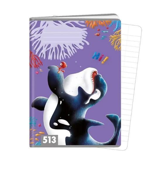 Sešit A5 10 listů typ 513 Hi