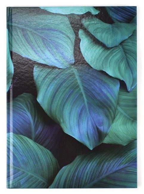 Optys Záznamní kniha A4 link - Zelené listy